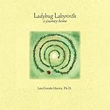 Ladybug Labyrinth: A Journey Home