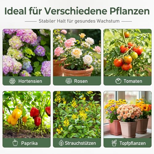 WUQNGI Plant Support, Pack of 10 Perennial Holders, Round, Adjustable Hydrangea Support, Diameter 21.5 cm, Robust Plant Holder for Garden as Shrub Support, Rose Support, Flower Support, Peony Holder