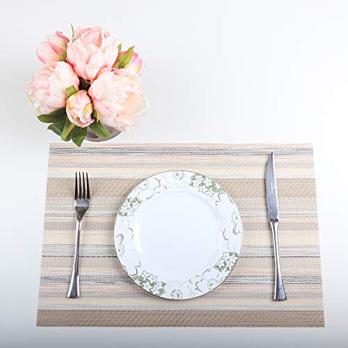 PREMIUM CARE Set of 4 Placemats for Table Heat-Resistant Skid-Proof Table Mats Dining Table Woven Stain Resistant Easy to Clean