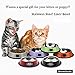 Ureverbasic Cat Bowls Stainless Steel Dog Bowl 8oz for Small Pets Puppy Kitten Rabbit Non-Skid Cat Food Bowls Easy to Clean Durable Cat Dish for Food and Water (Green/Lavender)