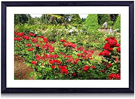 80cmx60cm 木製の黒色のフォトフレーム バラ花低木ハーブ公園芝生 壁掛け 壁飾り 壁ポスター おしゃれ ウォールアート アートパネル 壁の 絵 インテリア絵画 額縁 部屋飾り 装飾画 Pasadenahc Com