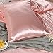 Pink Bedding Set Silk Like Blush Pink Comforter Cover 2 Pieces Luxury Satin Duvet Cover Coral Pink Girls Bedding Sets Twin 1 Duvet Cover 1 Pillowcase (Pink, Twin)