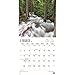 2017 Monthly Wall Calendar - Montana, Wild & Scenic