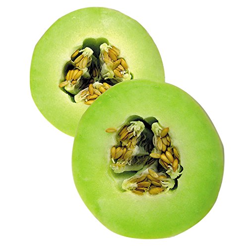 Burpee Green Flesh Organic Melon Seeds 20 seeds