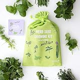 Scott&Co Herbs Seed Kit 10 Varieties Basil Coriander Chives Mint Oregano view 4