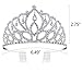 BABEYOND Crystal Queen Tiara Crown Rhinestones Pageant Quinceanera Crown Prom Princess Tiara Crown Bridal Wedding Crown Tiara Headband