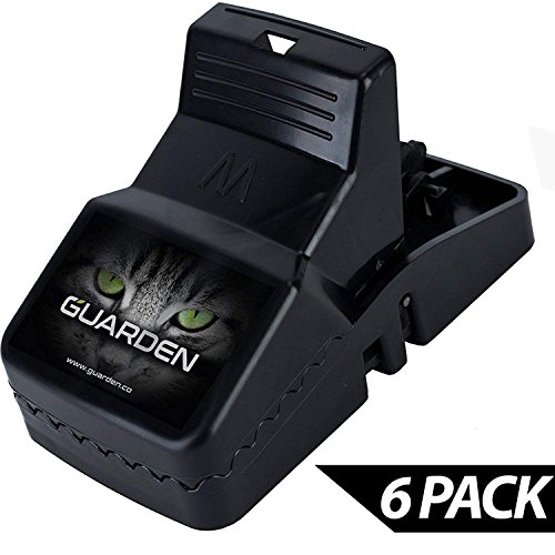 Best Rat Traps that Work - Effective No Poison Rodent Killer