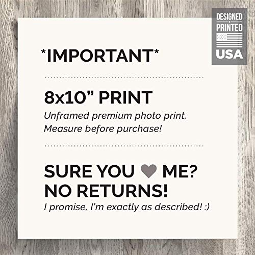 8x10" *UNFRAMED PRINT* Flush Only Toilet Paper Natural Waste Bathroom Sign Septic System Sensitive Plumbing No Feminine Sanitary Products Tampons Towels Decor Restaurant Office airbnb Modern Art