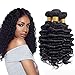 Brazilian Virgin Hair Deep Curly Wave 3 Bundles 100% Unprocessed Human Hair Natural Black Color Hair Extensions Can Be Dyed and Bleached (16 18 20)