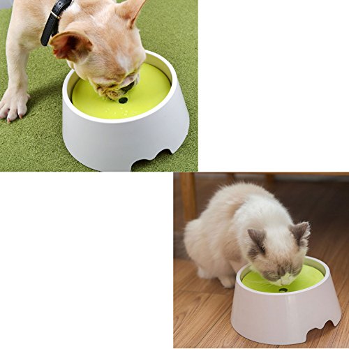Dog Water Bowl No Spill Dripless Pet Water Food Bowl for Dogs and Cats, 1000ML(34OZ), Spill-Proof/Anti-Dust/Anti-choking/Anti-Gulping - Water or Food Dog Bowls - Thumbnail 6