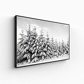 Canvas Wall Art for Living Room, Bedroom Monochrome Plants Framed Canvas Prints for Home Decoration Ready to Hang - 16x24 inches