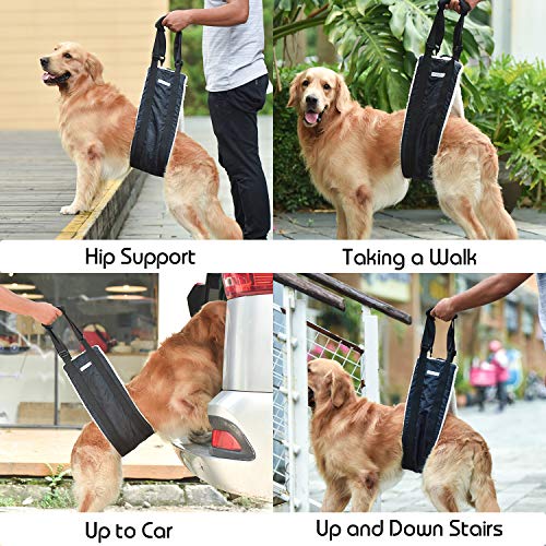 Petslucent Dog Carrier Sling for Back Legs, Pet Leg Lifter Hip Back Support Help Em Up Harness for Medium & Large Dogs Senior, Injured, Disabled and After ACL Surgery for Canine Aid - Thumbnail 6