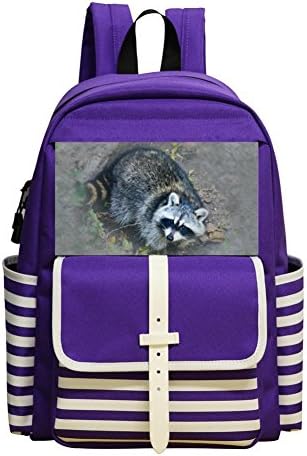 Small School Bags For Kindergarten Unisex Child,Print Raccoon,Purple