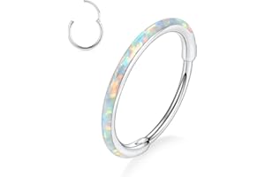 GAGABODY 20G 18G 16G 14G 6mm-12mm 316L Surgical Steel Piercing Jewelry Hinged Seamless Earrings Clicker Hoop Piercing Rings for Cartilage Helix Rook Septum Daith Tragus Lobe CZ/Opal/Shell/Turquoise