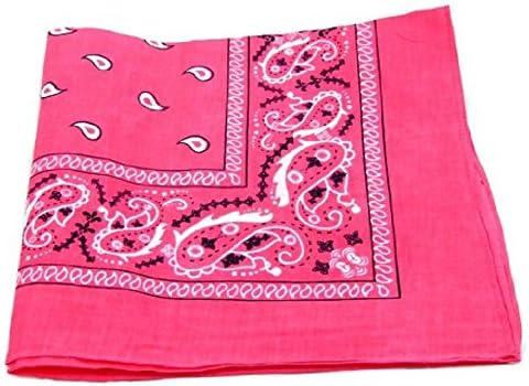 Paisley Cotton Bandanas HOT PINK