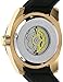 Invicta Men's Aviator Stainless Steel Automatic-self-Wind Watch with Silicone Strap, Black, 26 (Model: 23531)