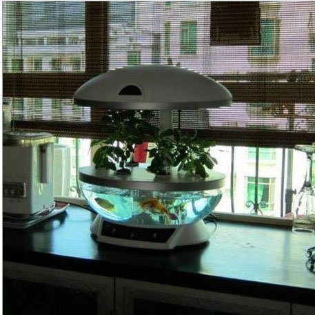 Tabletop Hydroponics Fish Tank Planter Aquaponics System with Grow Light