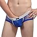 YiZYiF Men's Openwork Mesh Breathable Cool Sexy Bikini Briefs Swimwear Underwear Blue Small