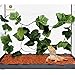 SunGrow Natural Looking Reptile Plants - Vibrant Green Terrarium Plastic Plants 6.5ft Easy to Clean Silk Leaves - Creates Natural Hiding Spot for Reptiles and Amphibians - Suction Cups Included