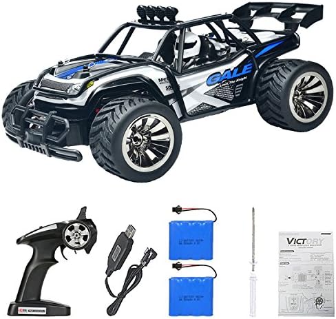 MRHESUS RC Buggy Monster High Car-Remote Control Car 1:16 2WD 2.4Ghz High Speed Radio Controlled Electric Car with 2 Rechargeable Batteries-Best Gift for Kids (Blue)