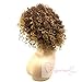 Vigour Beauty Wigs for Black Women Afro Kinky Wig Short Curly Wigs Blonde and Brown Ombre Wig Heat Resistant Fiber 14'' with Wig Cap
