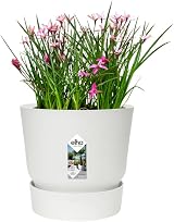 elho Greenville Round 16 Flower Pot with Integrated Water Reservoir view 9