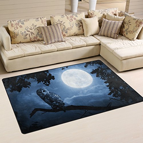 Photography Area Rugs Stop Searching, Check These Out
