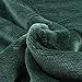 LEEVAN Throw Blanket Computer Office Chair Cover Luxury Flannel Pom Pom Fringe Plush Bed Yellow Throw Lightweight Velvet Blankets for Couch Sofa Suitable for All Seasons Green-51x 63 Inch