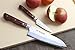 Yoshihiro VG-10 16 Layer Hammered Damascus Stainless Steel Santoku and Paring Knife Set