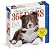 365 Dogs 2017 Calendar