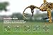 Tenergy TDR RC Drone, Spider Quadcopter Drone, One Key Auto Return, 3D 360° Roll Stunt, Headless Mode Drone, 2.4 GHz 6-Axis Flight Control, Beginner Drone