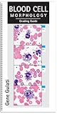 Blood Cell Morphology Grading Guide