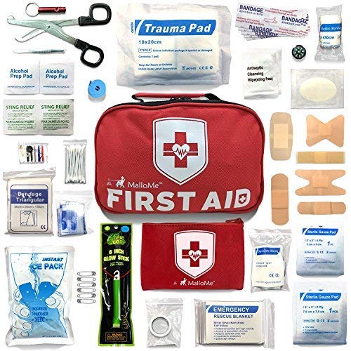 2-in-1 Large First Aid Survival Kit (353-Piece) Camping Gear Accessories for Emergency: Mini Small 52 Bonus Pieces for College Dorm Room Essentials, Car, Home, Baby, Travel, Office & Medical Supplies
