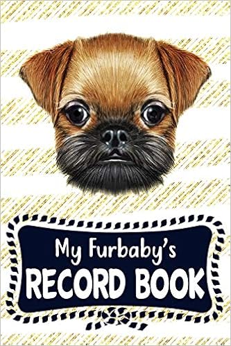 cute brussels griffon