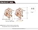 Angelady Fashion Statement Rose Earrings Best Gift For Girlfriend Pure Handmade Elegant For Women Party