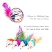 GDPet 10 Piece Including Cat Teaser Wand Interactive Feather Toy Fluffy Mouse Mylar Crinkle Balls Catnip Pillow for Kitten/Kitty