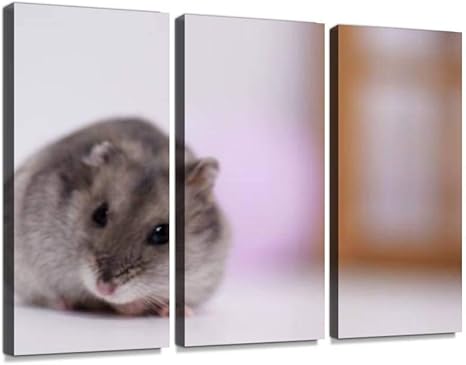 Amazon ハムスター ジャンガリアン ジャンガリアンハムスター かわいい マウス 生き物 ペット 飼育 動物 哺乳類 飼う 可愛い ネズミ年 コピースペースモダン アートボード 壁アート 壁掛け モダンアート 壁飾り木枠セット 壁芸術 新築祝い インテリア オンライン通販