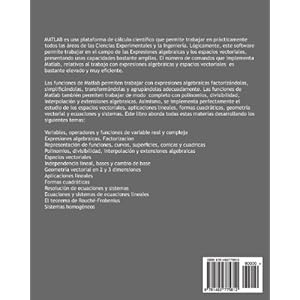 MATLAB. Expresiones algebraicas, polinomios y espacios vectoriales (Spanish Edition)