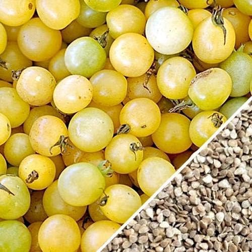 Tomato - Cherry, White Imported Exotic Seeds