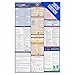 2025 Arkansas Labor Law Poster- State, Federal, OSHA Compliant- Workplace Required Posting for Employees- English Employment Poster- UV Laminated Waterproof- 26