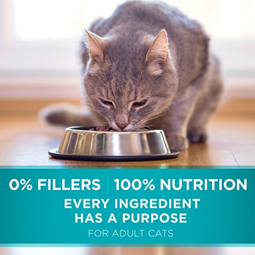 PURINA ONE NATURAL DRY CAT FOOD, TENDER SELECTS BLEND WITH REAL CHICKEN – 7 LB. BAG