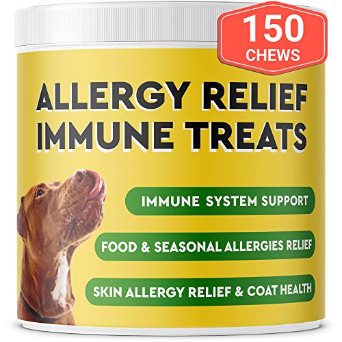Best Dog Allergy Medications Auto Up Scale