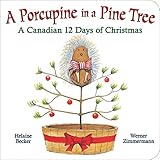 A Porcupine in a Pine Tree