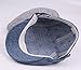 Quanhaigou Unisex Denim Newsboy Hats Flat Ivy Gatsby Cabbie Driving Berets Hat Cotton Dad Cap for Men Women (Retro Blue)