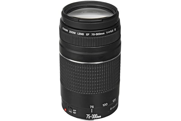 Canon EF 75-300mm f/4-5.6 III Telephoto Zoom Lens for Canon SLR Cameras, 6473A003 (Renewed) | Ef Mount, DC Micro Motor Af, Super Spectra Coating