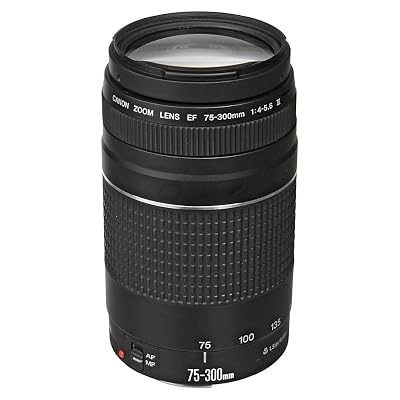 Canon EF 75-300mm f/4-5.6 III Telephoto Zoom Lens for Canon SLR Cameras, 6473A003 (Renewed)