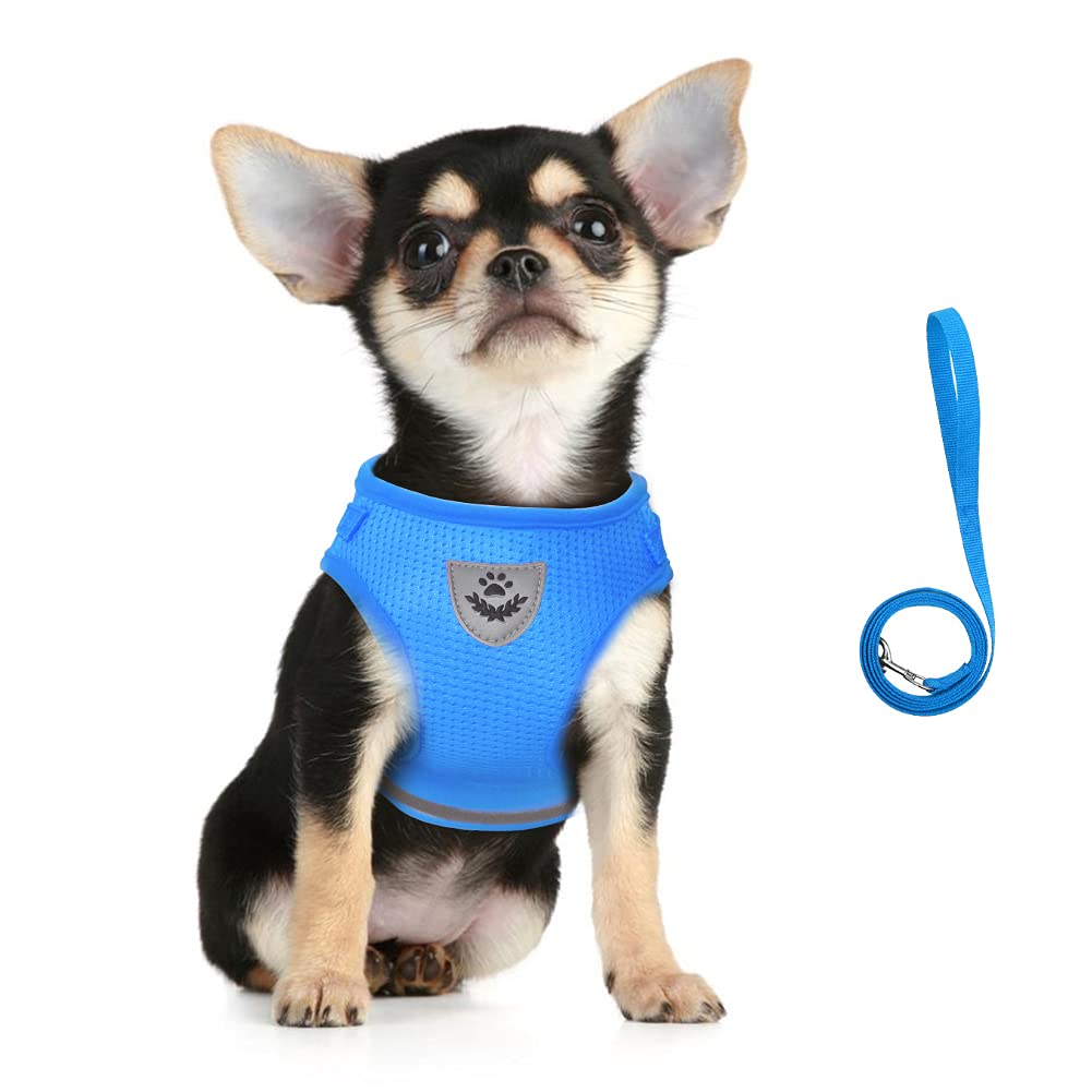 Photo 1 of FEimaX Dog Harness and Leash Set for Walking, Soft Mesh Adjustable Easy Control Lightweight Cat Vest Harnesses with Reflective Strips, Escape Proof Small Dogs Cats Vests (Azure, Small)