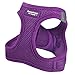 Downtown Pet Supply Step in Dog Harness for Small Dogs No Pull, Small, Blue - Adjustable Harness with Padded Mesh Fabric and Reflective Trim - Buckle Strap Harness for Dogs