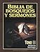 Biblia de bosquejos y sermones: Hebreos y Santiago (Spanish Edition)