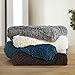 Chic Home Elana Cozy Super Soft Ultra Plush Decorative Shaggy Faux Fur Throw Blanket, 50